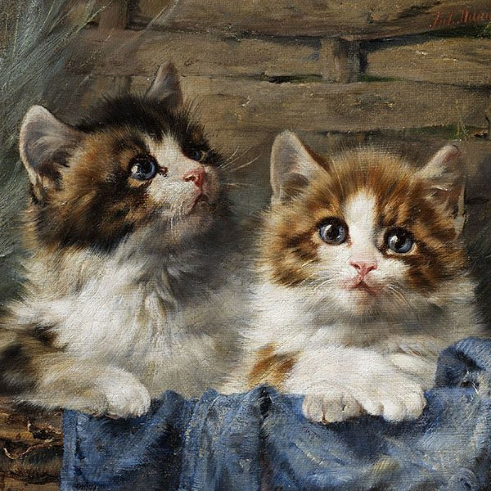 Art Collection - Cat Paintings