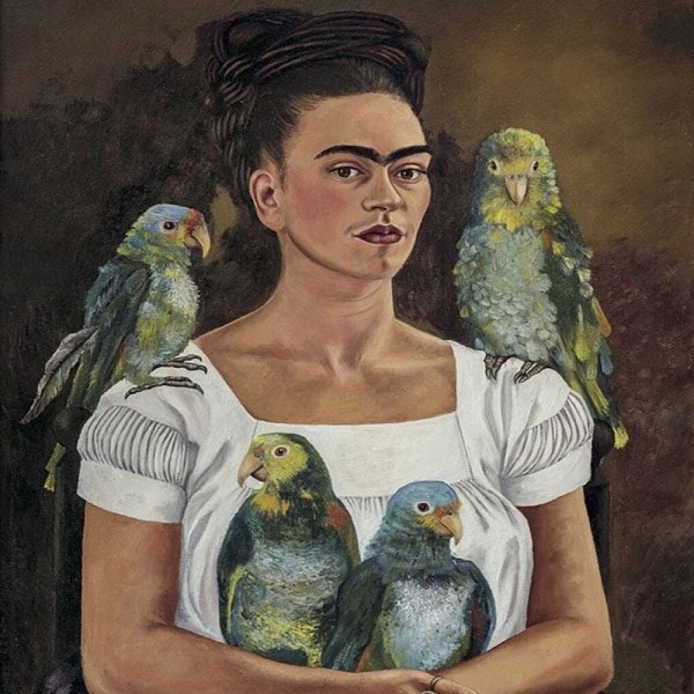 Art Collection - Paintings of Birds