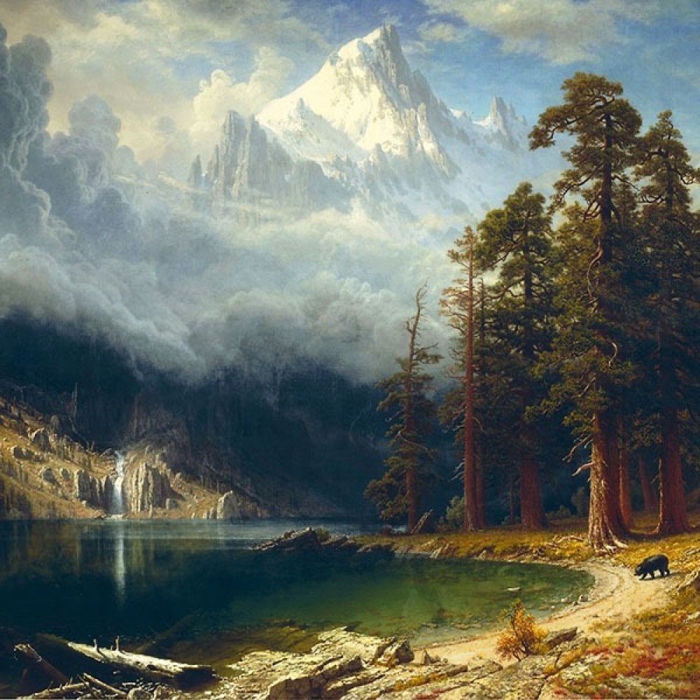 Art Collection - Landscape Art