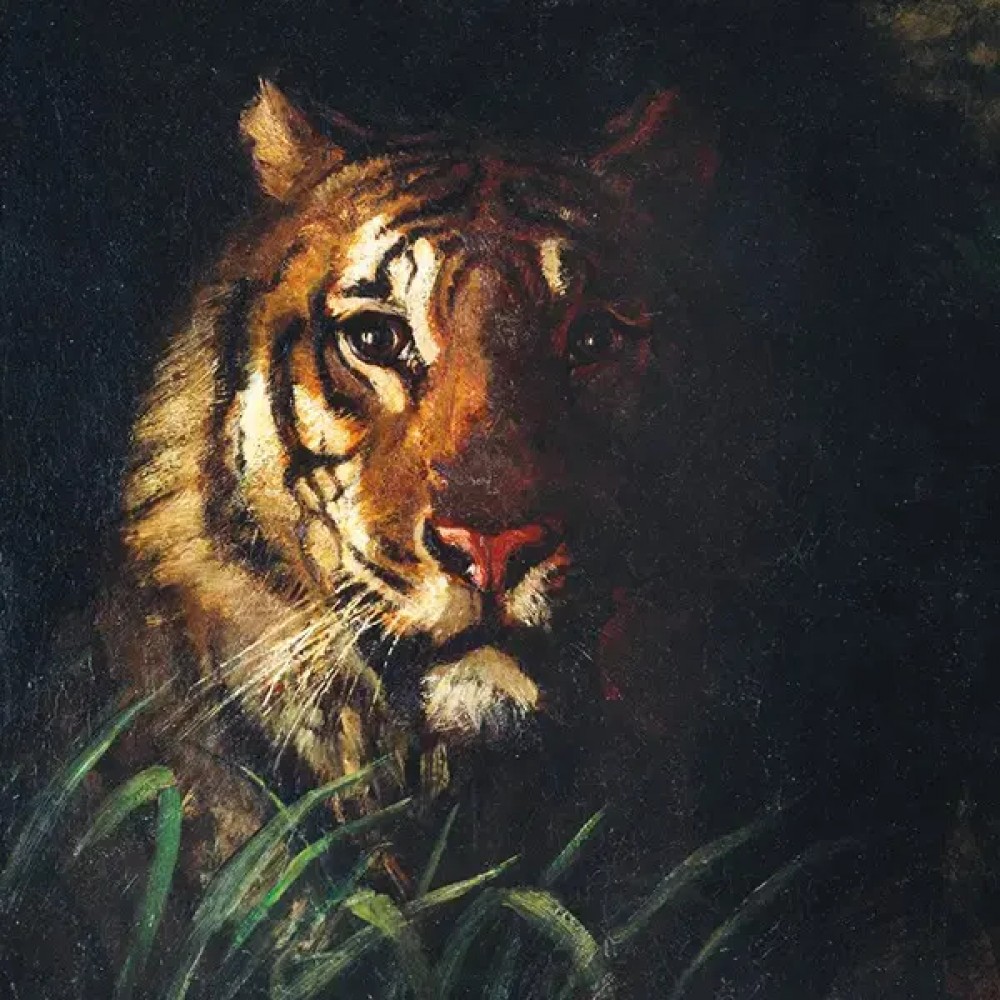 Art Collection - Wildlife Art