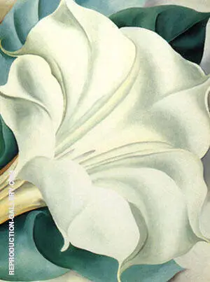 White Trumpet Flower 1932 By Georgia O'Keeffe