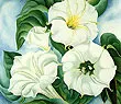 Jimson Weed 1936 By Georgia O'Keeffe