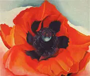 Poppy 1927 By Georgia O'Keeffe