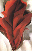 Large Dark Red Leaves on White 1925 By Georgia O'Keeffe
