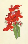 Red Canna 1920 By Georgia O'Keeffe