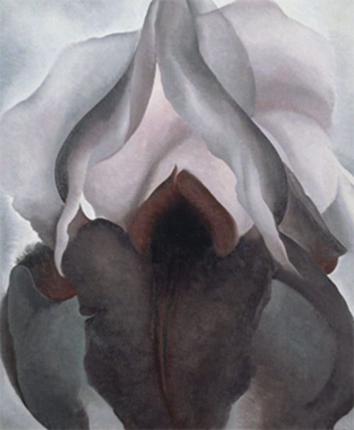 Black Iris 1926 by Georgia O'Keeffe | Oil Painting Reproduction