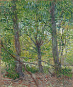 Trees and Undergrowth By Vincent van Gogh