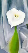 Cala Lily on Grey By Georgia O'Keeffe