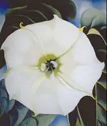 Single Jimson Weed 1932 By Georgia O'Keeffe