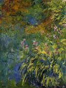 Irises c1917 By Claude Monet