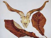 Ram's Skull with Brown Leaves By Georgia O'Keeffe