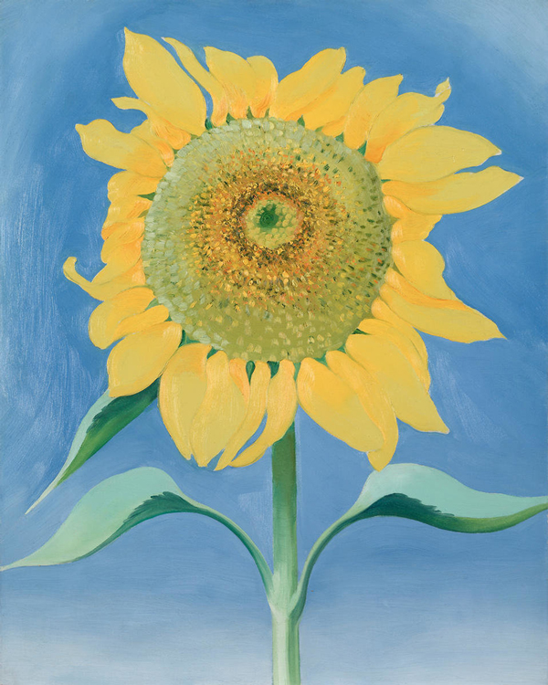 Sunflower, New Mexico by Georgia O'Keeffe | Oil Painting Reproduction
