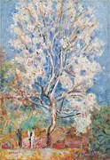 Almond Tree in Blossom 1945 By Pierre Bonnard