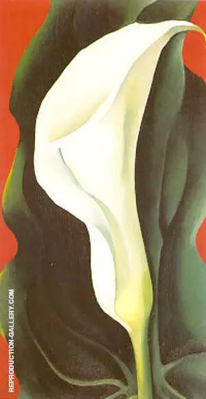 Single Calla Lily Red By Georgia O'Keeffe