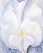 White Pansy 1927 By Georgia O'Keeffe