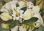 Magnolias 1945 By Frida Kahlo