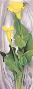 Yellow Calla with Green Leaves By Georgia O'Keeffe