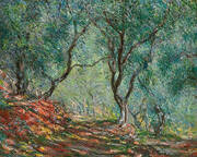 Olive Grove in the Moreno Garden 1884 By Claude Monet