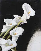 Arums Study c1938 By Tamara de Lempicka