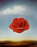 The Rose By Salvador Dali