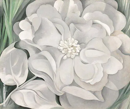 White Calico Flower 1931 By Georgia O'Keeffe