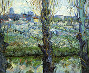Orchard in Bloom with Poplars 1889 By Vincent van Gogh