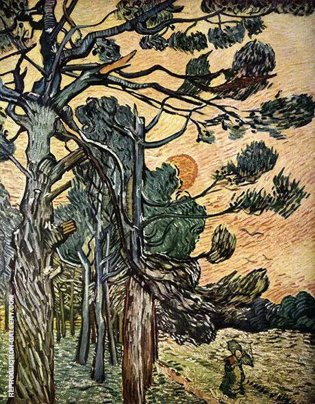 Fir Woods at Sunset 1889 By Vincent van Gogh
