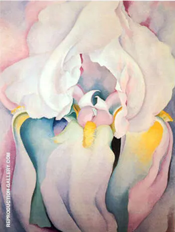Light Iris By Georgia O'Keeffe