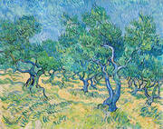 Olive Grove 1889 By Vincent van Gogh