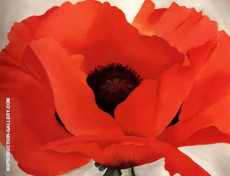 Red Poppy By Georgia O'Keeffe
