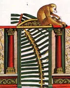 Frontispiece By Max Ernst