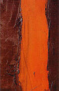 Detail of End of Silence 1949 By Barnett Newman