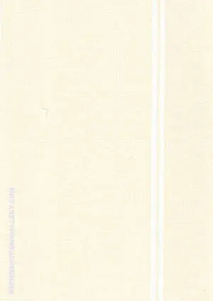 Ninth Station 1964 By Barnett Newman