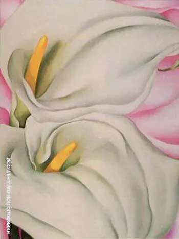 Two Calla Lillies On Pink By Georgia O'Keeffe