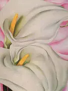 Two Calla Lillies On Pink By Georgia O'Keeffe