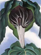 Jack in the Pulpit 3 By Georgia O'Keeffe