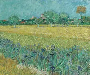 View of Arles with Irises Near Arles 1888 By Vincent van Gogh
