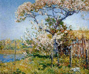 Apple Trees in Bloom Old Lyme 1904 By Childe Hassam