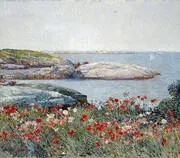 Poppies Isles of Shoals 1891 By Childe Hassam