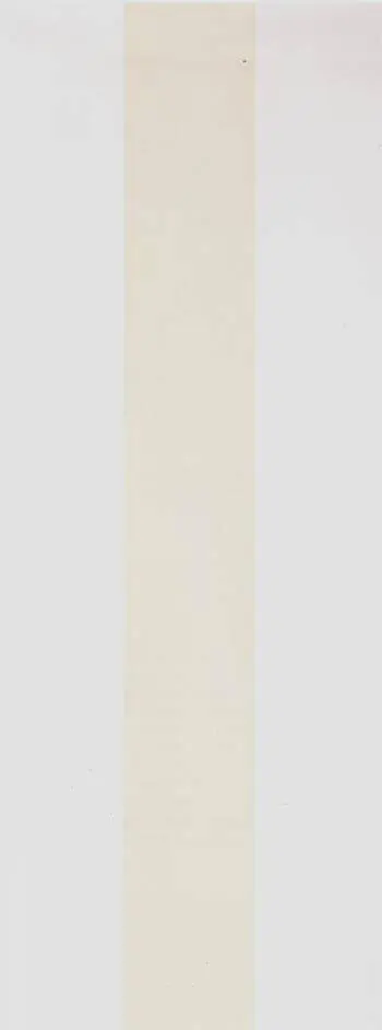 White Fire By Barnett Newman