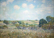 Meadow 1875 By Alfred Sisley