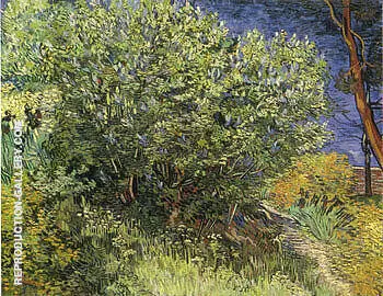 Lilac Bush 1890 By Vincent van Gogh