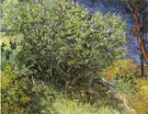 Lilac Bush 1890 By Vincent van Gogh