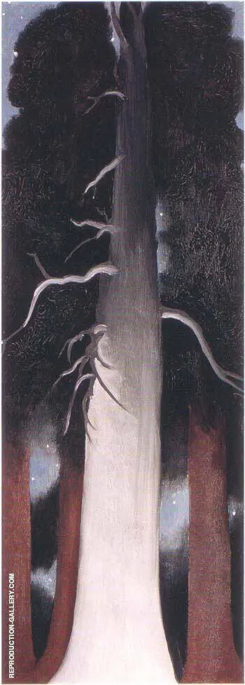 Bear Lake, New Mexico, 1930 By Georgia O'Keeffe