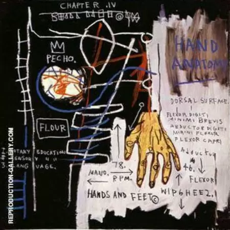 Hand Anatomy 1982 by Jean-Michel-Basquiat | Oil Painting Reproduction