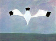 Plunging Gull By Milton Avery