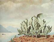 Treasure Island 1942 By Rene Magritte