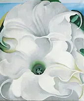 Bella Donna 1939 By Georgia O'Keeffe