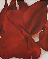 Red Cannas 1927 By Georgia O'Keeffe