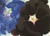 Black Flower and Blue Larkspur 1930 By Georgia O'Keeffe